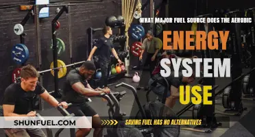 Aerobic Energy System: Unlocking Power Through Carbohydrates and Fats