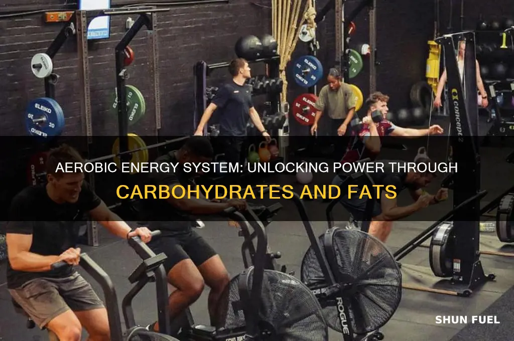 what major fuel source does the aerobic energy system use