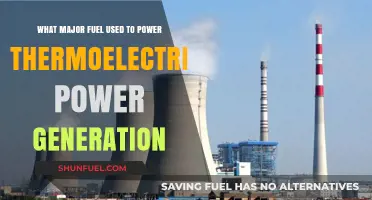 Primary Fuel Sources Driving Thermoelectric Power Generation Efficiency
