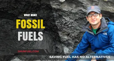 Unveiling the Ancient Origins of Fossil Fuels: A Comprehensive Guide