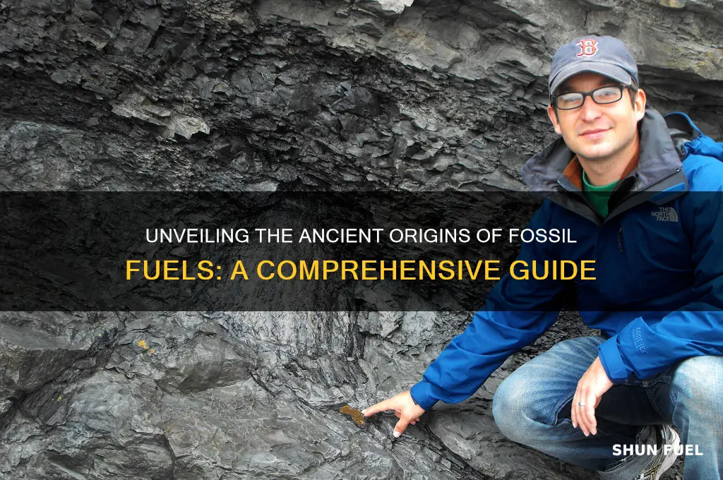 what make fossil fuels