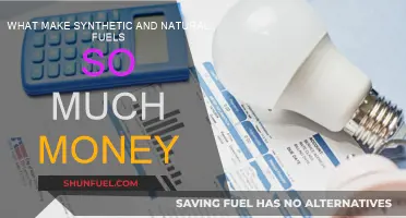 The Cost of Fuels: Synthetic vs Natural