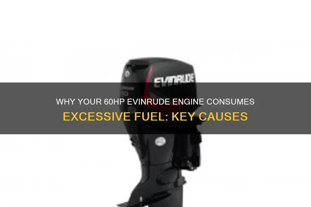 what makes a 60hp evinrude use excessive fuel