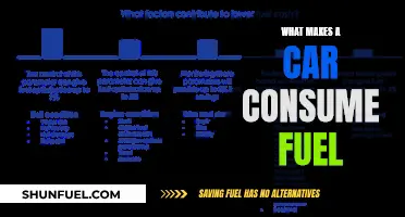 Factors Influencing Fuel Consumption in Cars