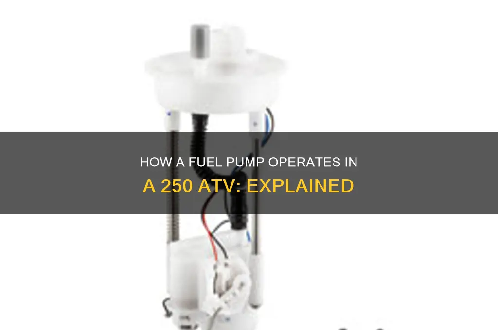 what makes a fuel pump work on a 250 atv