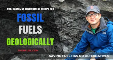 Geological Secrets: Unlocking the Perfect Conditions for Fossil Fuel Formation