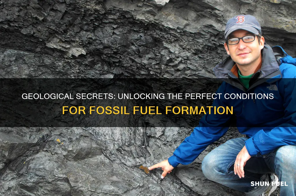 what makes an environment so ripe for fossil fuels geologically