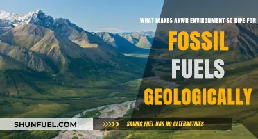 ANWR's Unique Geology: Unlocking the Secrets of Its Fossil Fuel Potential