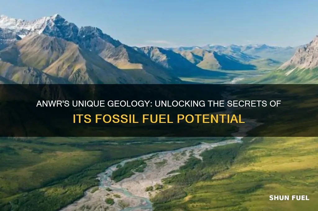 what makes anwr environment so ripe for fossil fuels geologically