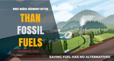 Bioenergy vs. Fossil Fuels: Sustainable Power for a Greener Future