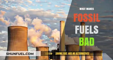 Why Fossil Fuels Harm Our Planet and Future Generations
