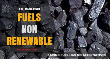 Why Fossil Fuels Are Non-Renewable: Understanding Their Finite Nature