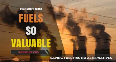 Why Fossil Fuels Remain a Priceless Global Energy Powerhouse