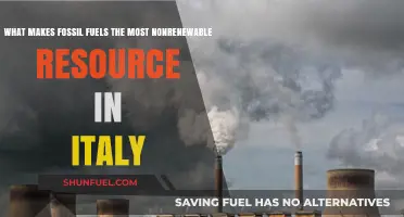 Fossil Fuels: Italy's Non-Renewable Energy Conundrum