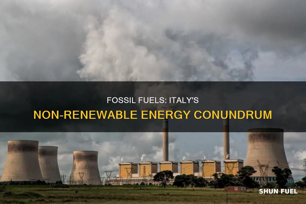 what makes fossil fuels the most nonrenewable resource in italy