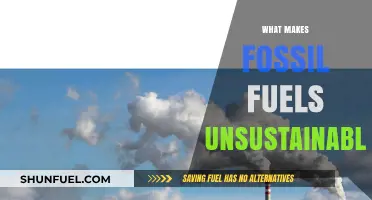 Fossil Fuels' Unsustainable Nature: Environmental Impacts and Finite Resources
