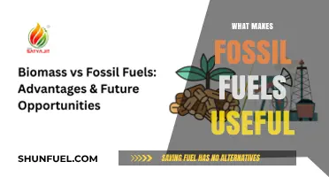 Why Fossil Fuels Remain Essential: Unpacking Their Practical Advantages