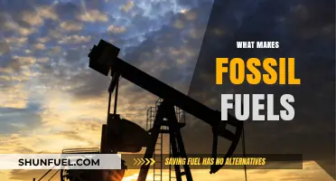 Fossil Fuels: Ancient Sunlight Powers Our World