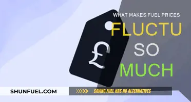 Understanding the Volatile Nature of Fuel Prices