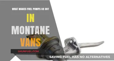 Why Montane Van Fuel Pumps Fail: Common Causes and Solutions