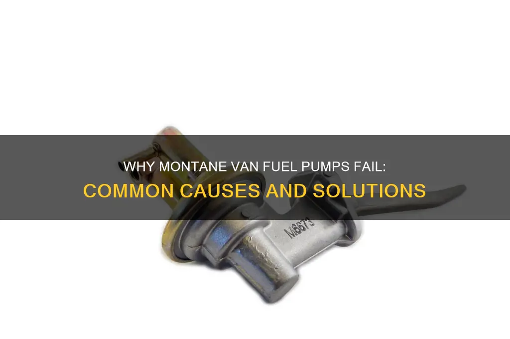 what makes fuel pumps go out in montane vans