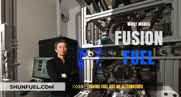 Unleashing the Power of Fusion: A Journey into Clean Energy's Future