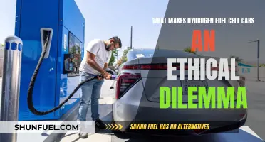 Hydrogen Cars: Ethical Dilemma of Clean Energy?