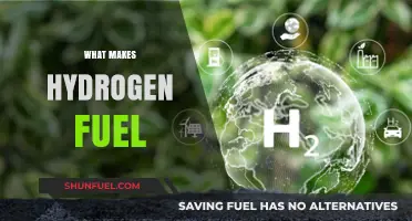 Unlocking the Power of Hydrogen: A Sustainable Fuel for the Future