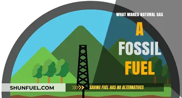 Understanding Natural Gas: Origins, Formation, and Fossil Fuel Classification