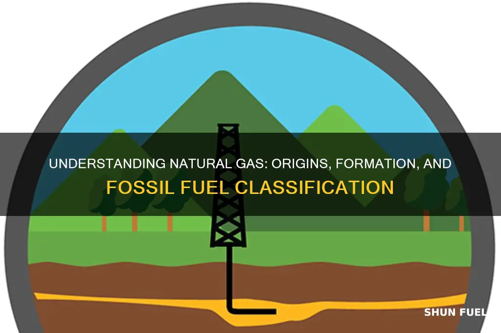 what makes natural gas a fossil fuel