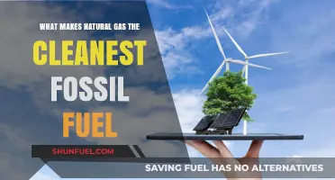 Why Natural Gas is the Cleanest Fossil Fuel Option