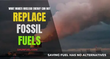 Nuclear Energy: Unsuitable Fossil Fuel Alternative