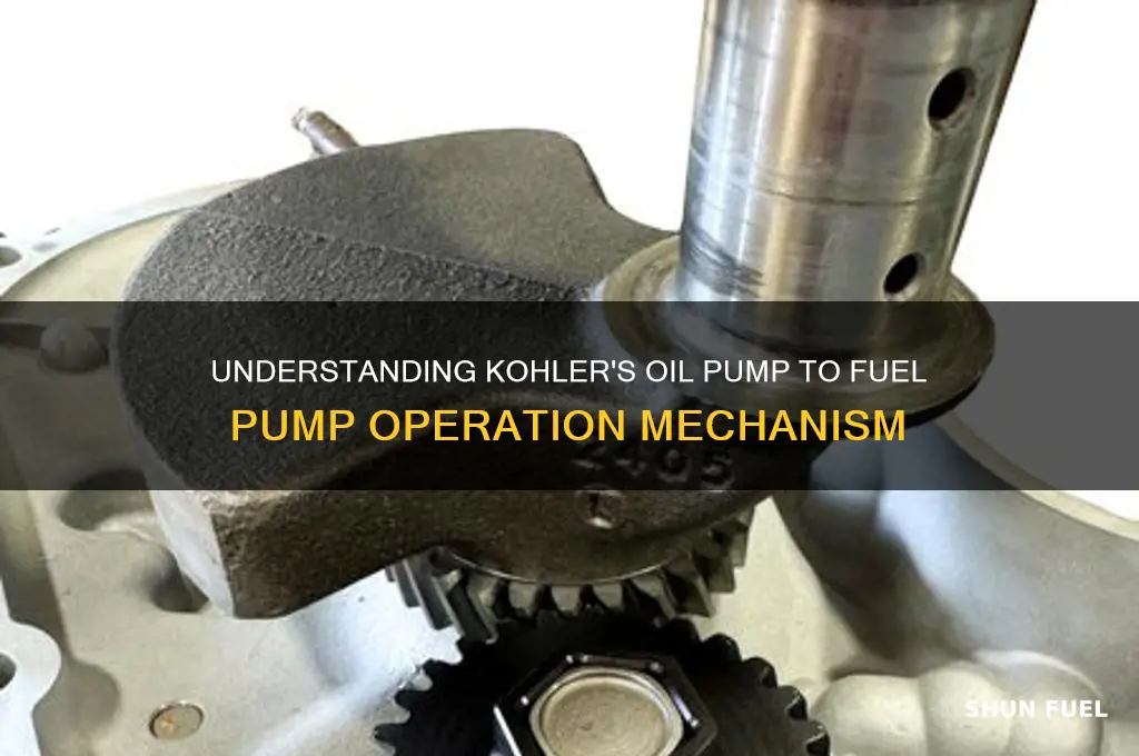 what makes oil pump into fuel pump kohler