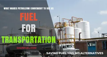 Petroleum's Efficiency: Why It's a Top Transportation Fuel Choice