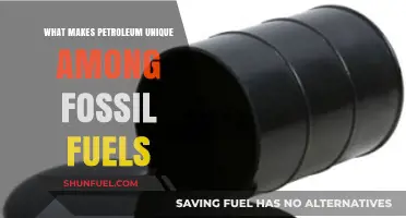 Petroleum's Distinctive Role: Unraveling Its Uniqueness Among Fossil Fuels