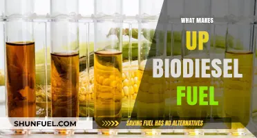 Exploring the Components: What Makes Up Biodiesel Fuel?