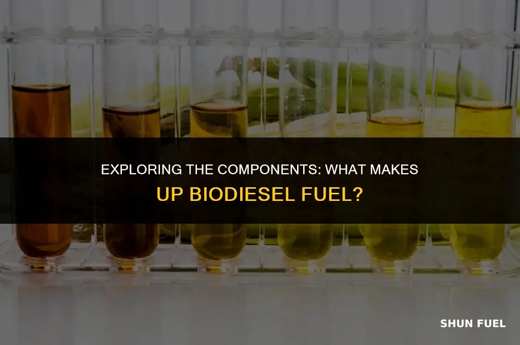 what makes up biodiesel fuel