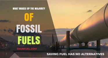 Understanding Fossil Fuels: The Dominant Components Powering Our World
