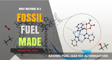 Unveiling Fossil Fuels: Understanding the Organic Materials Behind Their Formation