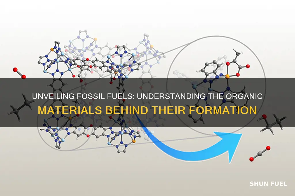 what material is a fossil fuel made