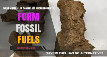 Underground Transformation: How Organic Matter Becomes Fossil Fuels