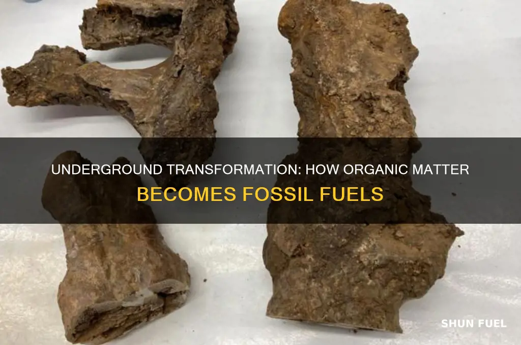 what material is comressed underground to form fossil fuels