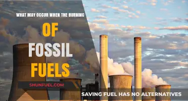 Burning Fossil Fuels: Consequences for Climate, Health, and Ecosystems