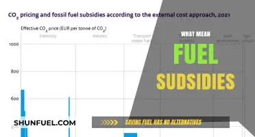Decoding Fuel Subsidies: A Breakdown of Costs and Benefits