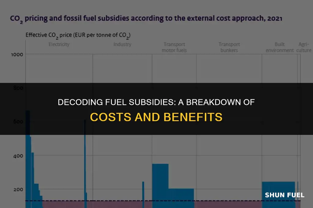 what mean fuel sudsidies