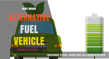 Exploring Alternative Fuel Vehicles: A Sustainable Transportation Solution