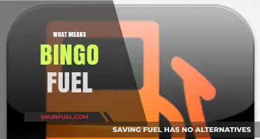 Understanding Bingo Fuel: A Comprehensive Guide to Its Meaning and Uses