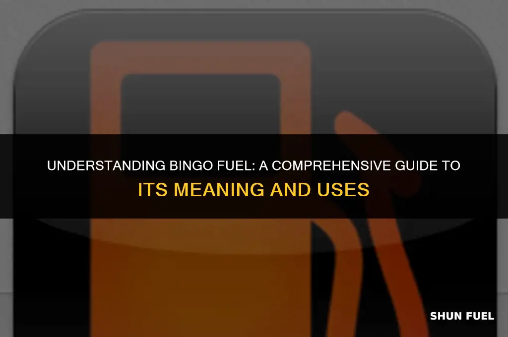 what means bingo fuel