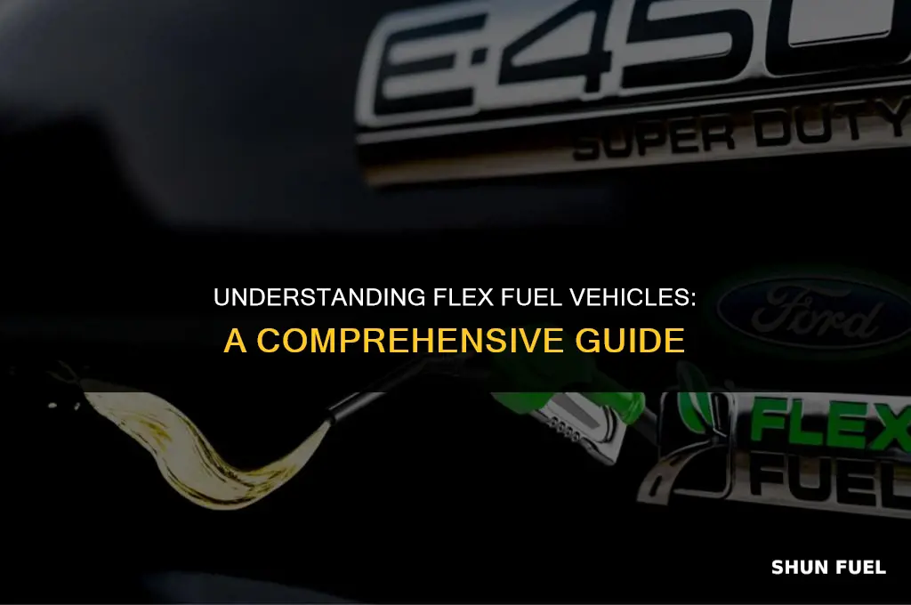 what means flex fuel vehicle