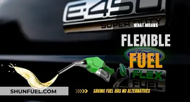Exploring the Versatility of Flexible Fuel Vehicles